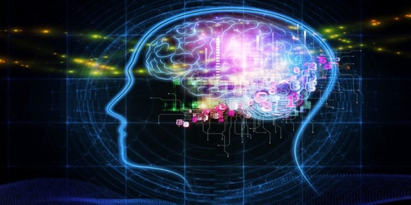 humanbrain